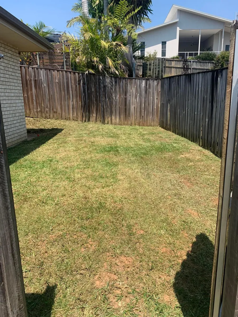 Freshly mowed backyard lawn after