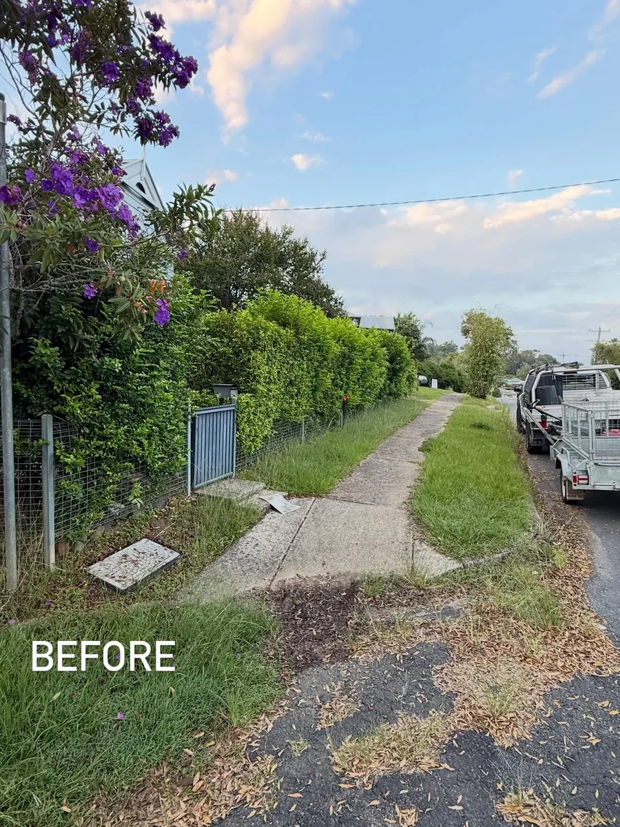 Overgrown footpath verge before mowing