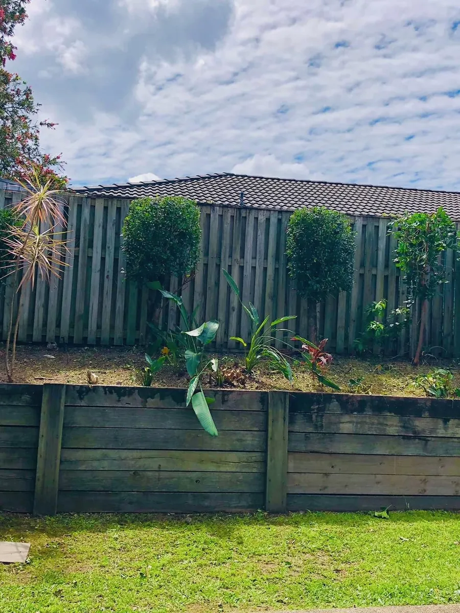 Shaped topiary along the retaining wall after