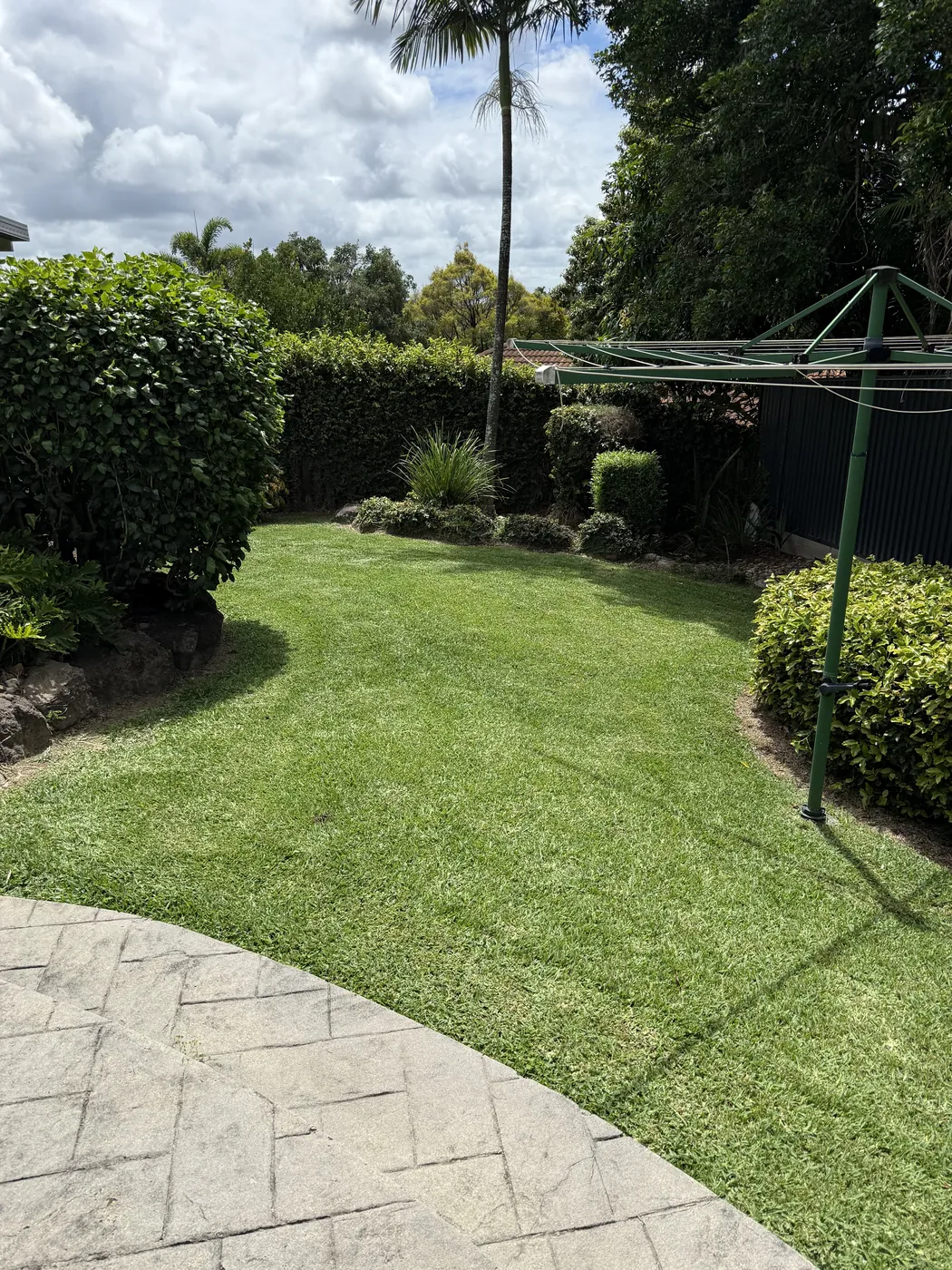 Manicured lawn beside tidy garden beds and clipped shrubs