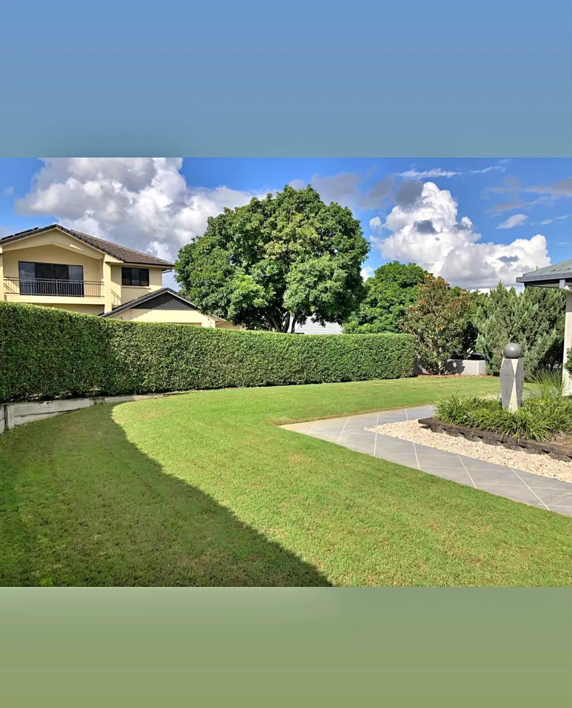 Shaped hedge framing a curved manicured lawn