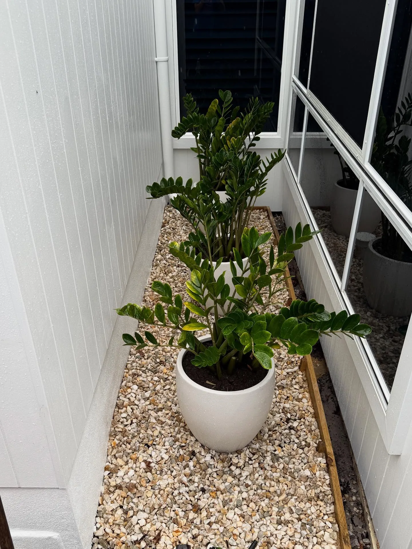 Feature hedge and clean paths