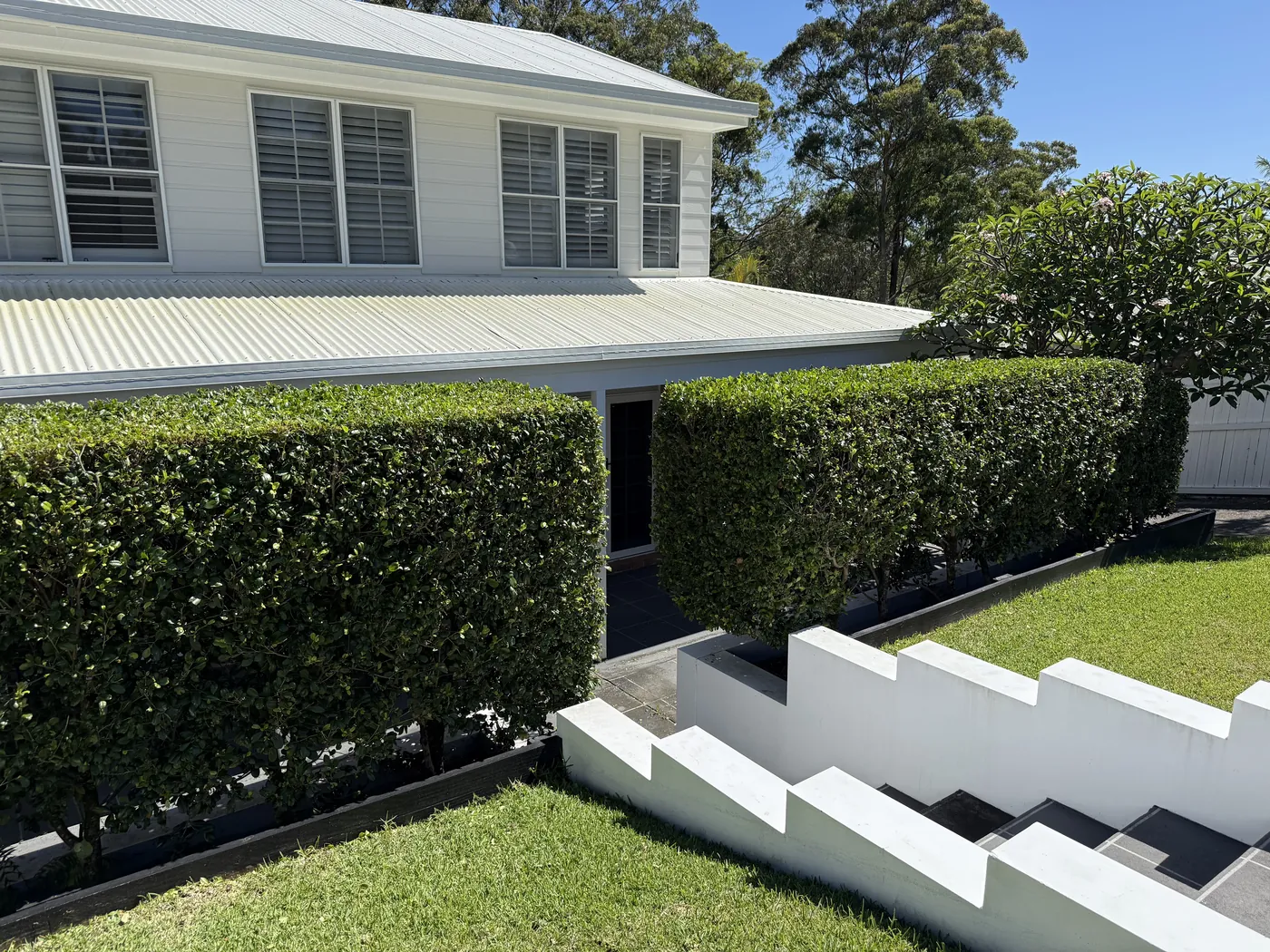 Freshly cut square block hedges along a white home