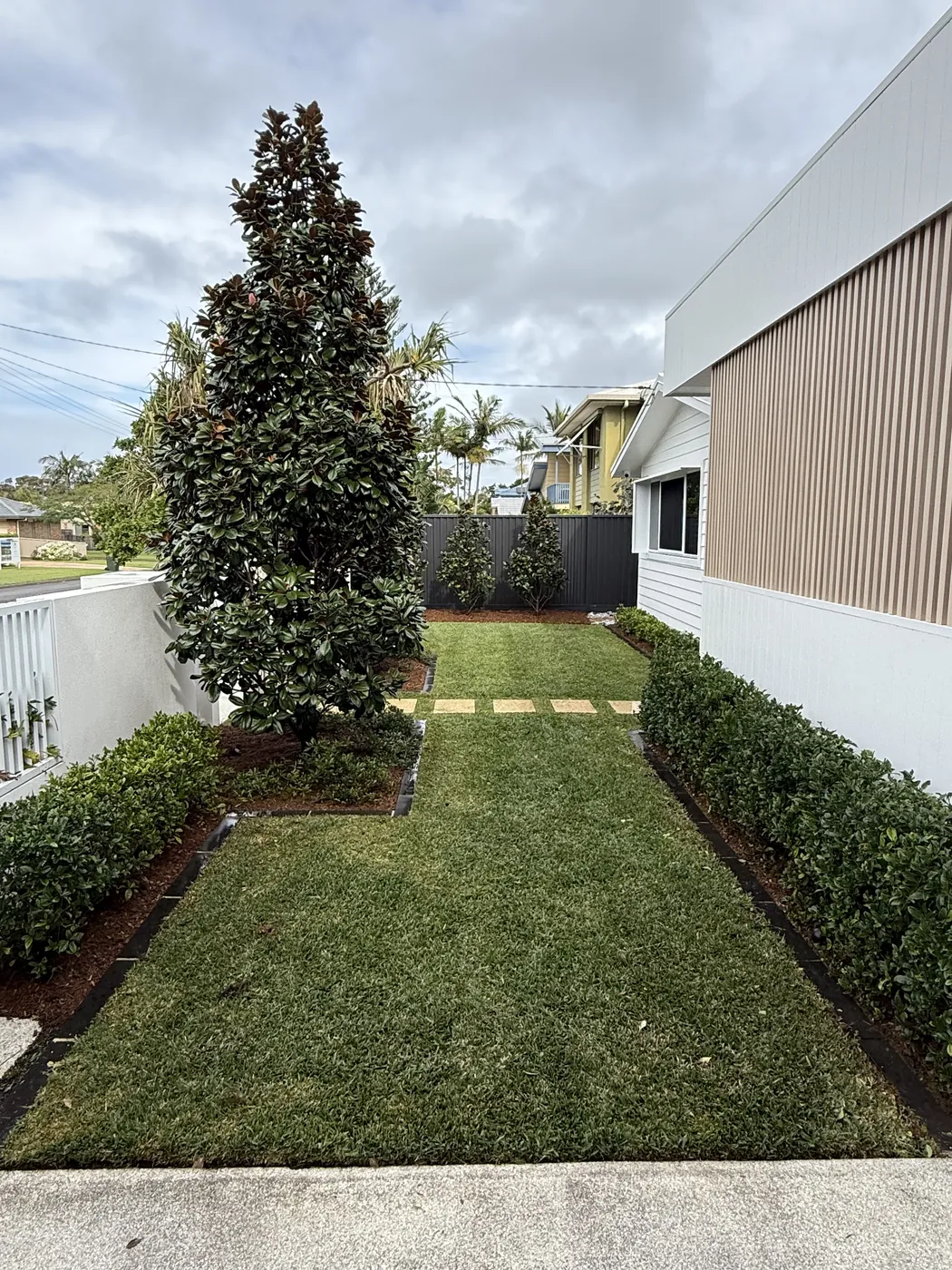 Manicured front hedge and lawn beside a magnolia tree