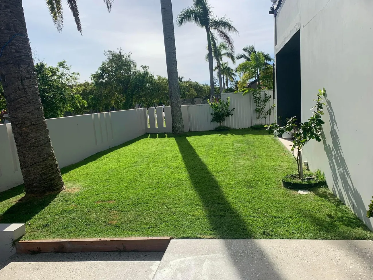 Freshly mowed backyard lawn with white fence