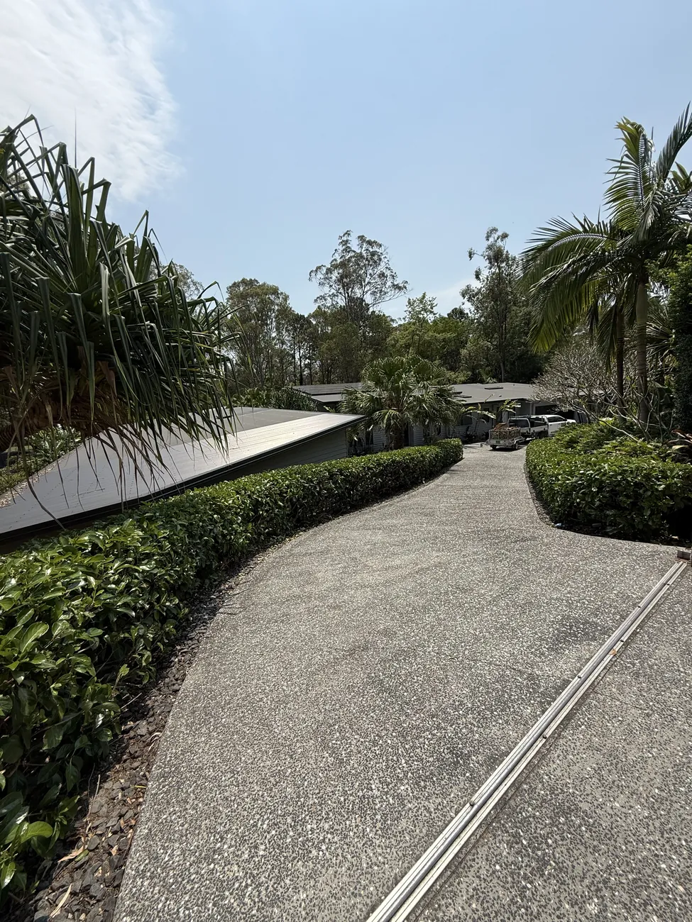Manicured hedge lining a driveway