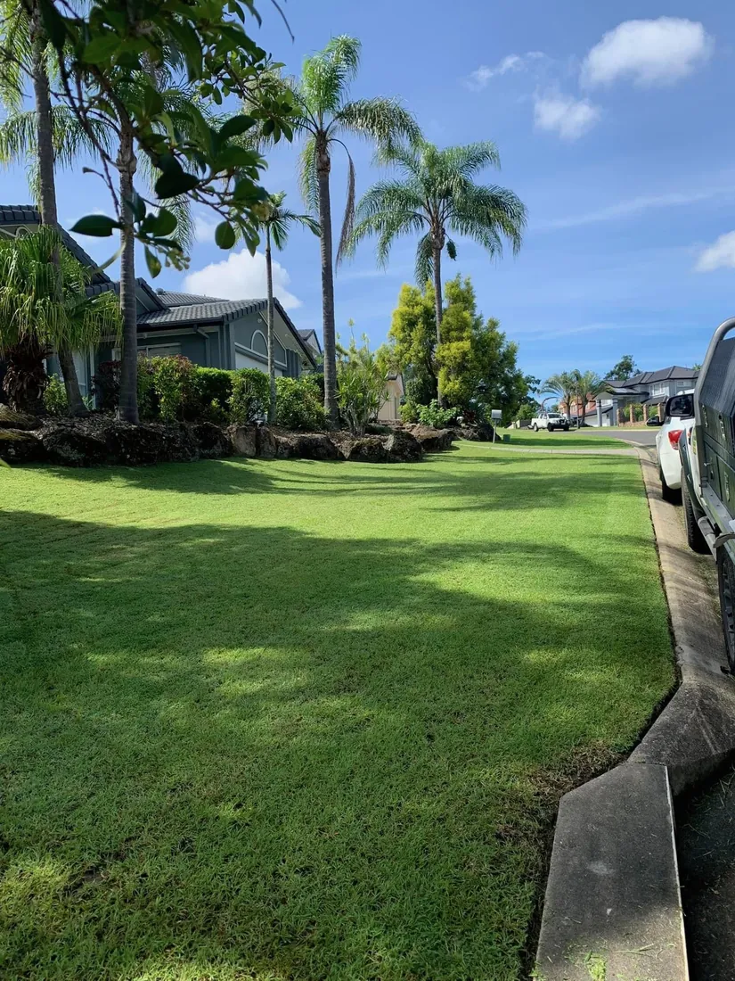 Lush manicured front lawn with palm trees