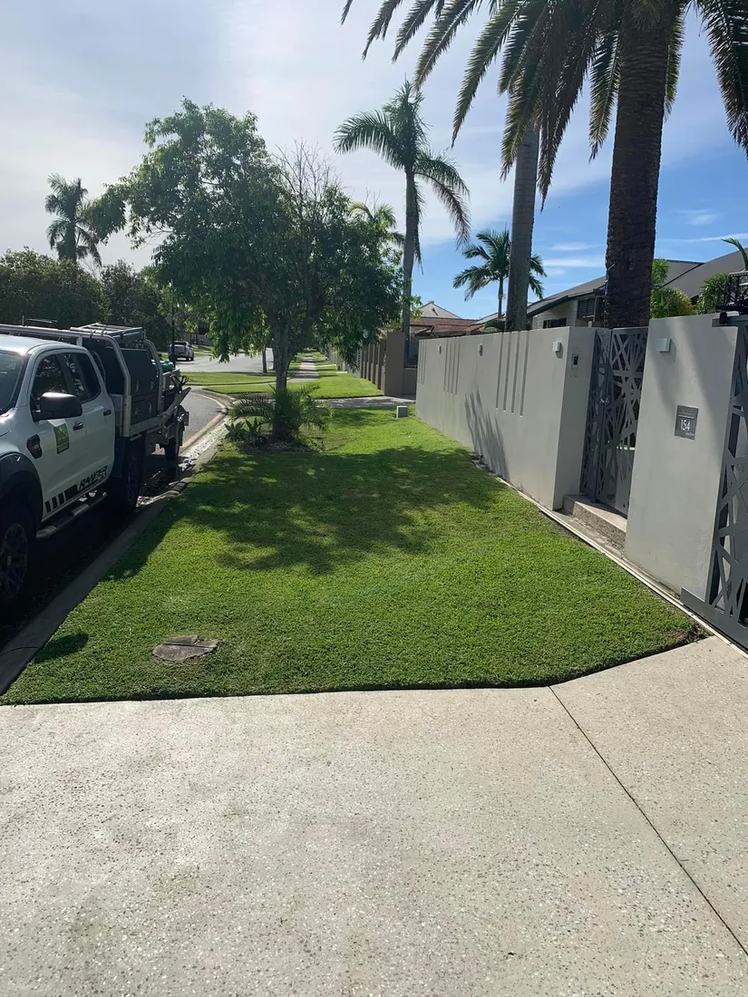 Manicured lawn with palms and the work ute