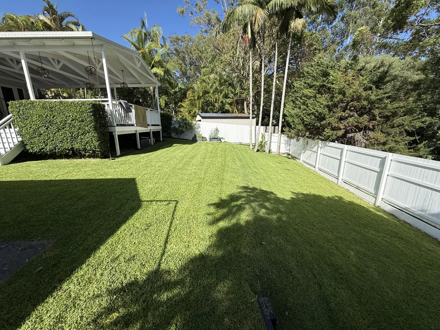 Freshly mowed, striped backyard lawn