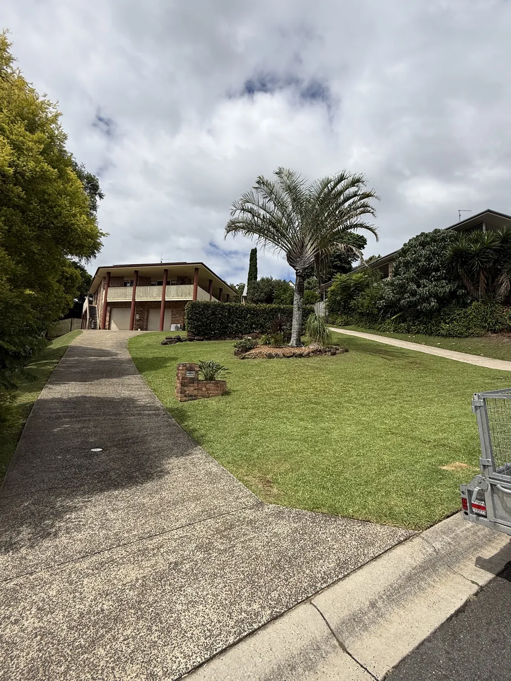 Tidy front lawn with a palm tree and driveway