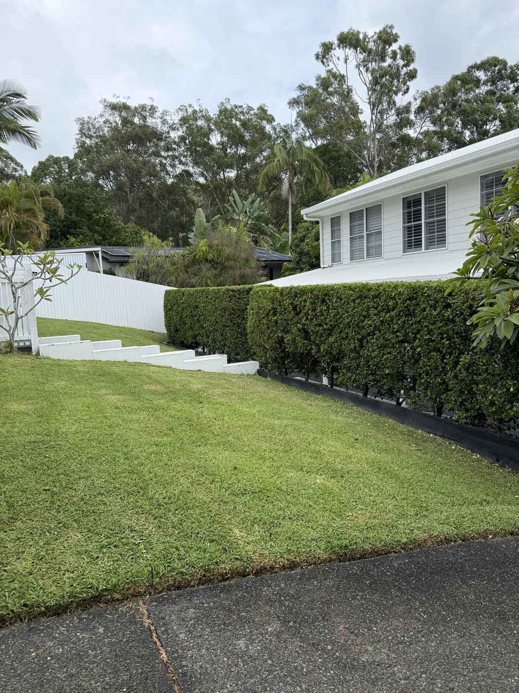 Mowed side lawn running alongside a tall hedge