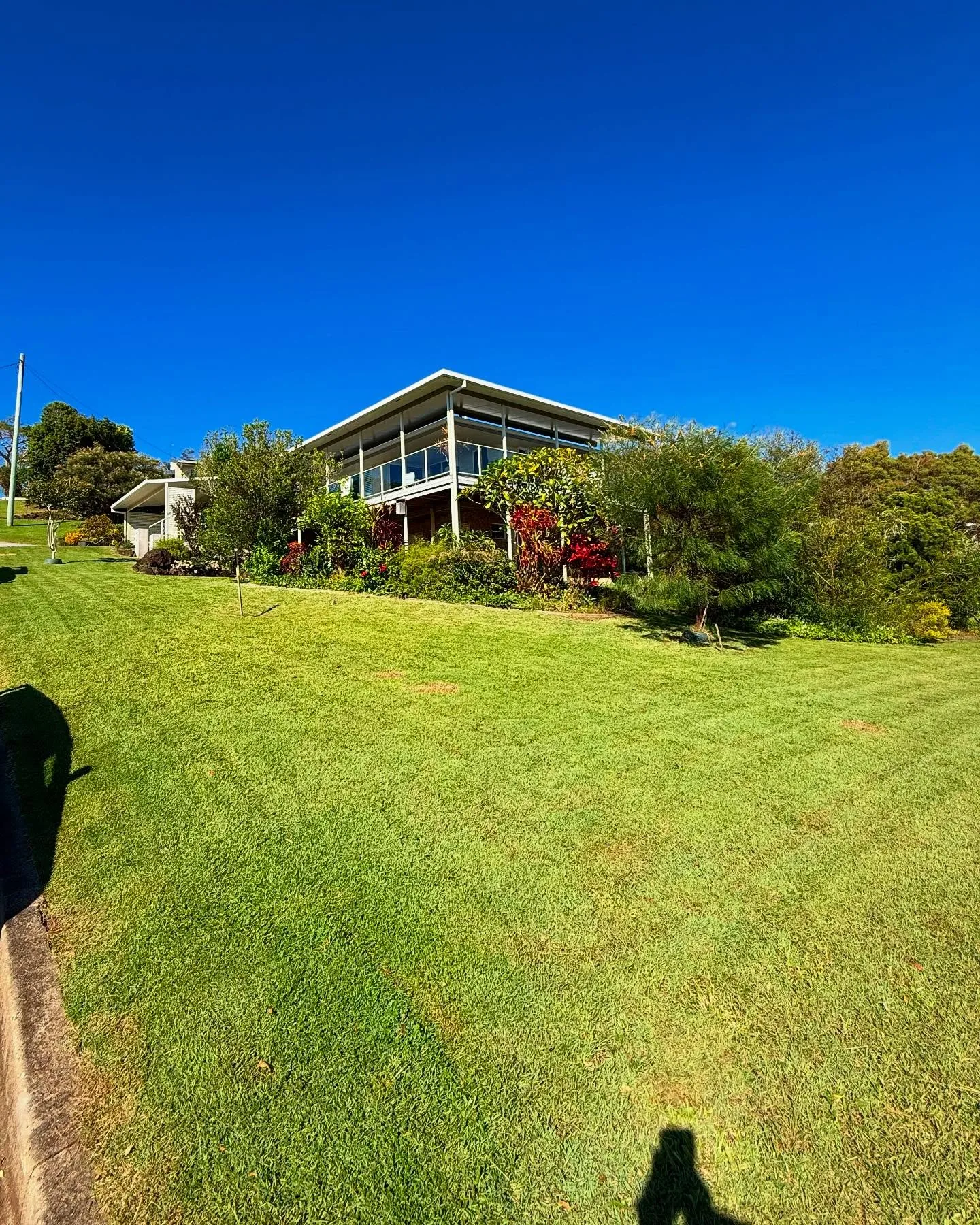 Weed-free lush lawn