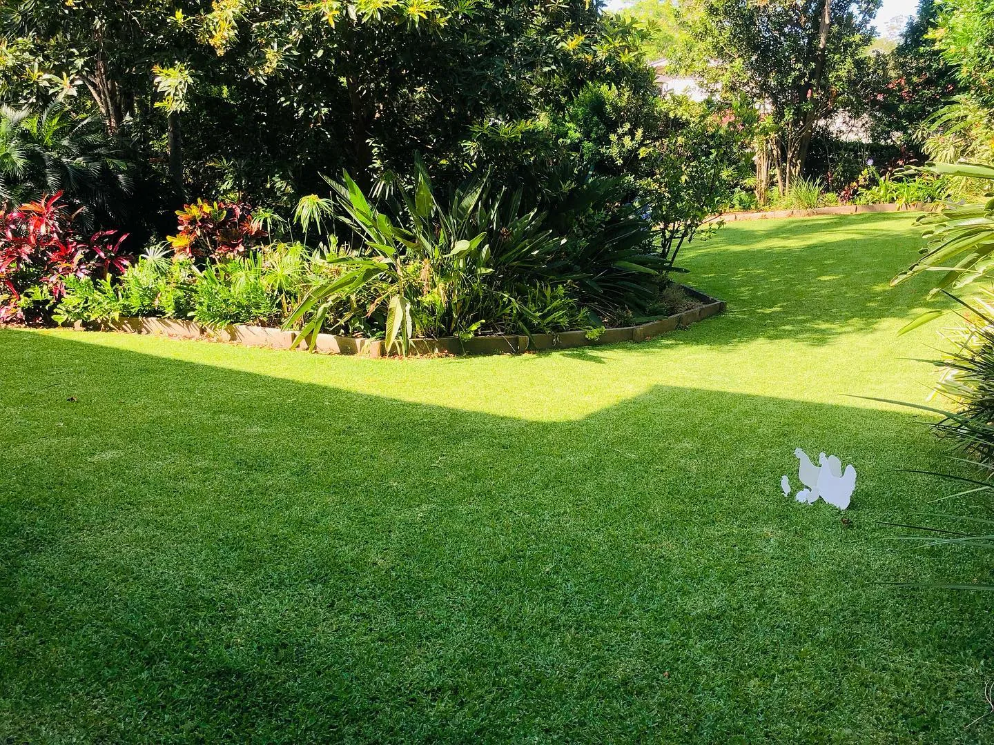 Freshly mowed and edged lawn