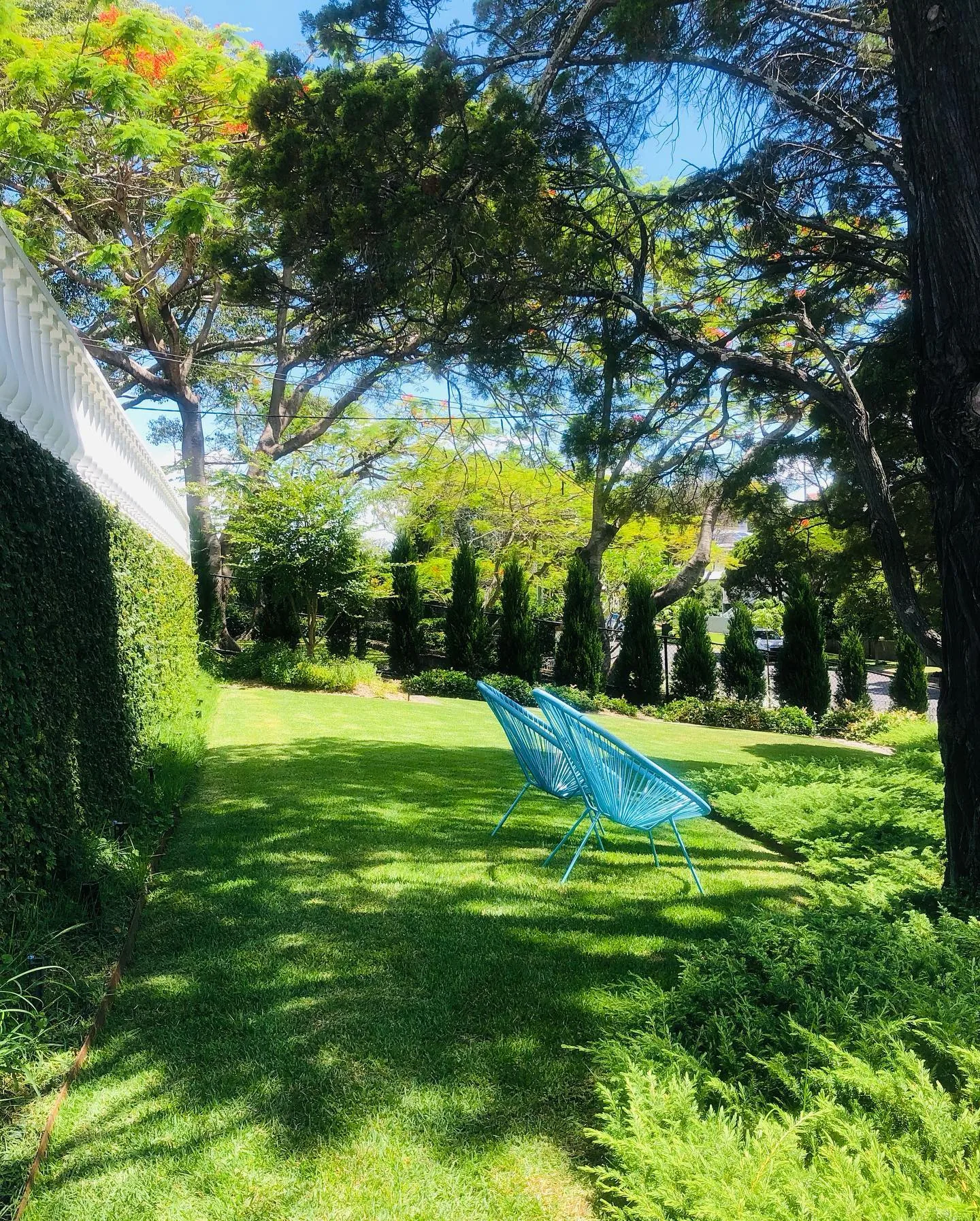 Freshly striped, manicured lawn beside a pool on the Gold Coast