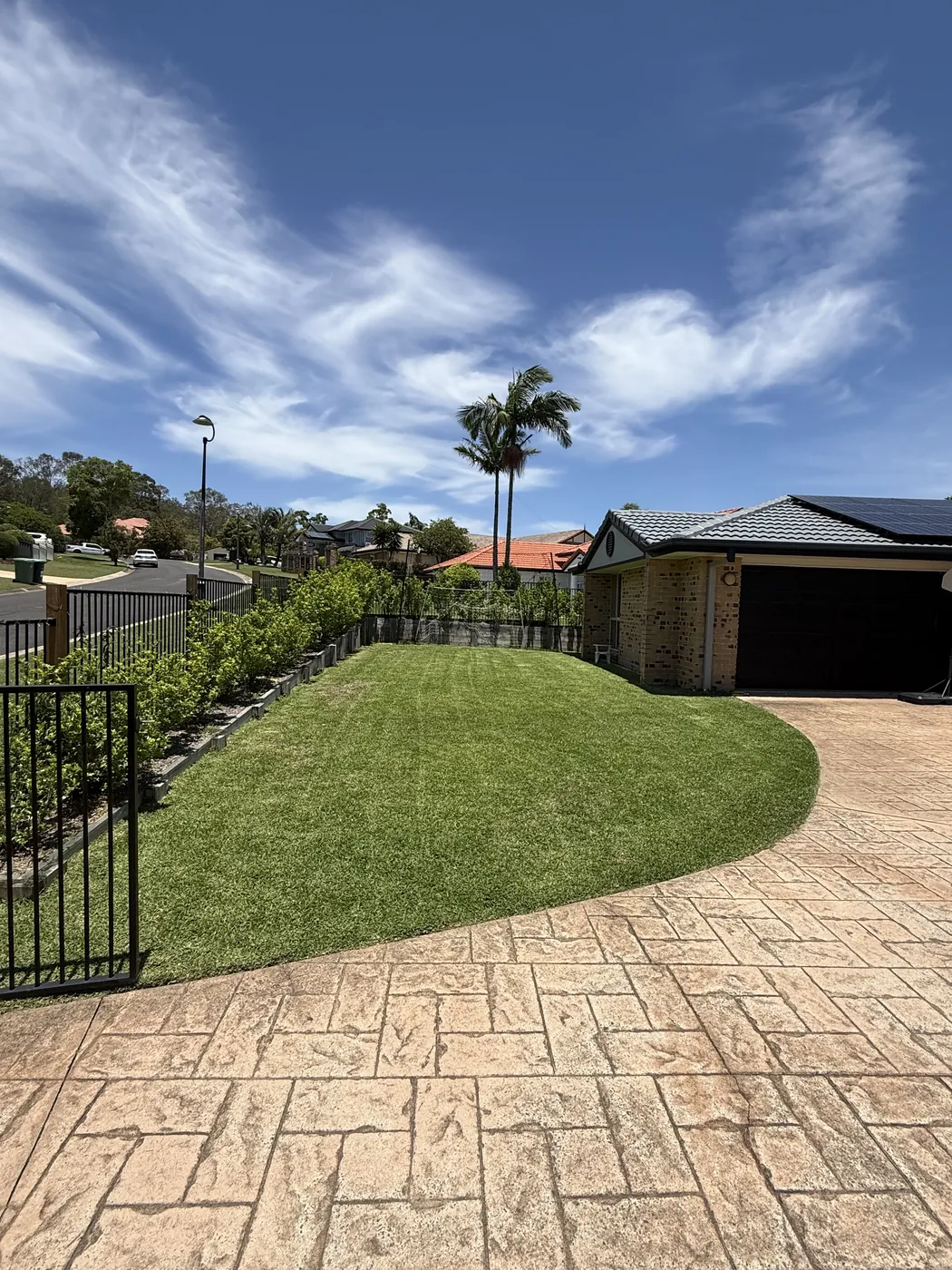 Lush turf lawn beside stamped concrete pavers and palms